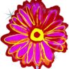 Μπαλόνι Φούξια Λουλούδι που ιριδίζει