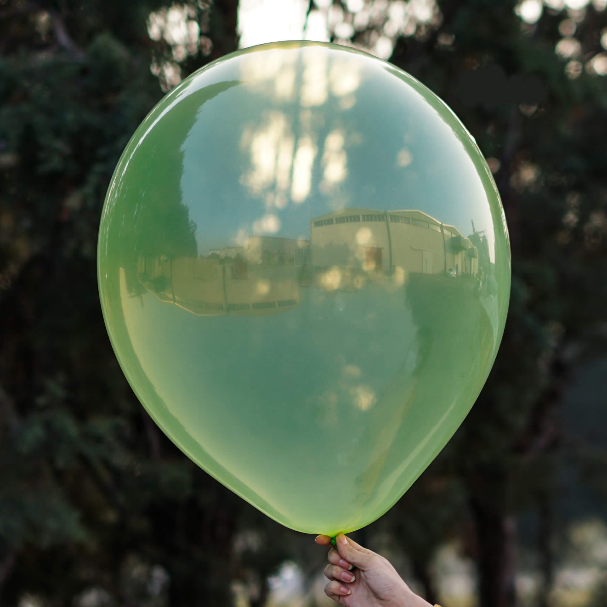 12" Pure Crystal Πράσινο λάτεξ μπαλόνι