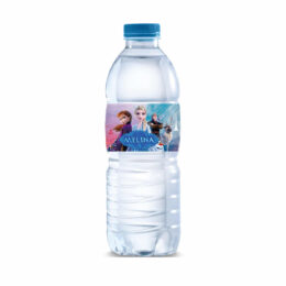 Χάρτινες Ετικέτες για μπουκάλια νερού Frozen
