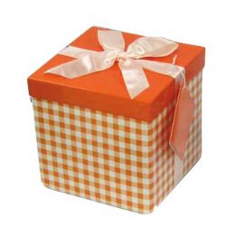 Πορτοκαλί Κουτί δώρου καρό