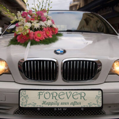 Πινακίδα αυτοκινήτου γάμου "Happily Ever After"