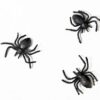 Μαύρες πλαστικές Αράχνες