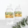 Ετικέτες για μπουκάλια νερού Lion King