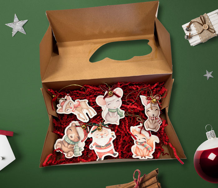 Χριστουγεννιάτικο κουτί με 6 στολίδια