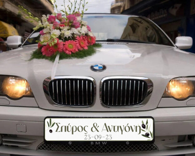Πινακίδα αυτοκινήτου γάμου "Ελιά"