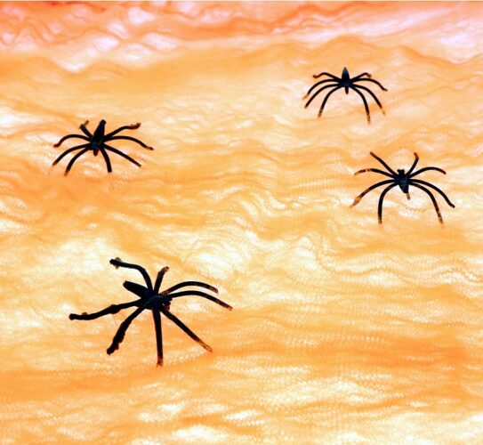 Διακοσμητικός Πορτοκαλί Ιστός με Αράχνες