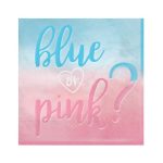 Χαρτοπετσέτες Gender Reveal 16 τεμ.