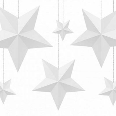 Διακοσμητικά Αστέρια λευκά 6 τεμ