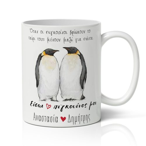 Κούπα για Ζευγάρια - Είσαι ο Πιγκουίνος μου