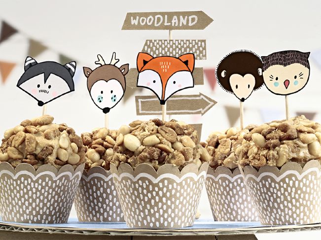 Σετ για cupcake Ζώα Δάσους Woodland 6 τεμ Σετ για cupcake Ζώα Δάσους Woodland 6 τεμ