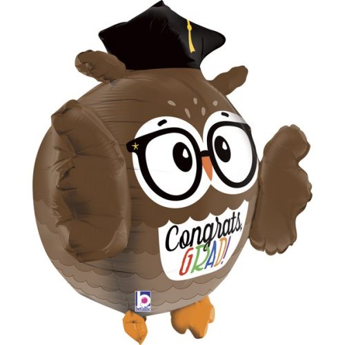 28 Μπαλόνι 3D Κουκουβάγια Grad