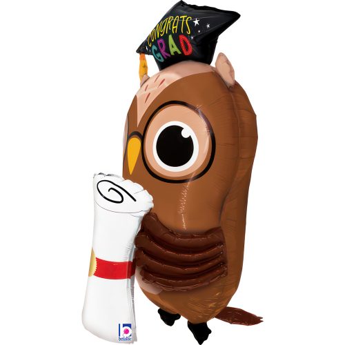 30 Μπαλόνι 3D Αποφοίτησης Κουκουβάγια με δίπλωμα