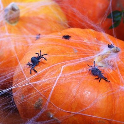 Μαύρες πλαστικές Αράχνες 10 τεμ