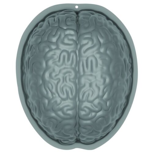 Φόρμα σε σχήμα Εγκεφάλου