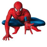 Είδη πάρτι spiderman