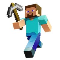 Minecraft είδη πάρτυ