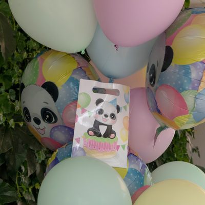 Τσαντάκια για δωράκια Αρκουδάκι Panda 10 τεμ