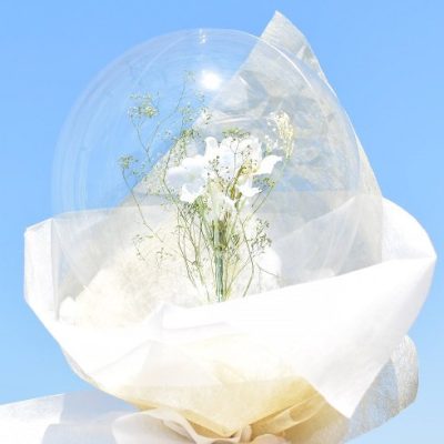 Διάφανο Bubble Μπαλόνι 10 τεμ
