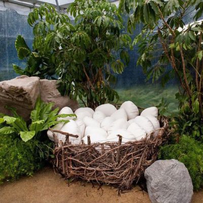 Θεματικό πάρτυ δεινοσαυράκι