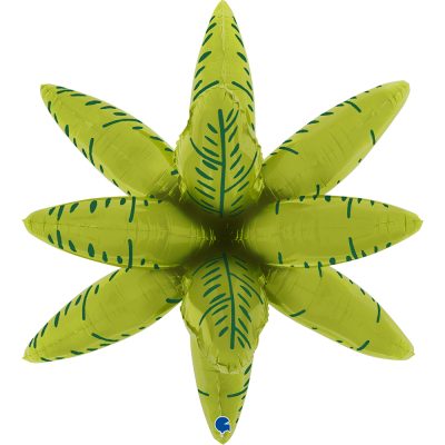 24  Μπαλόνι foil τροπικό φυτό