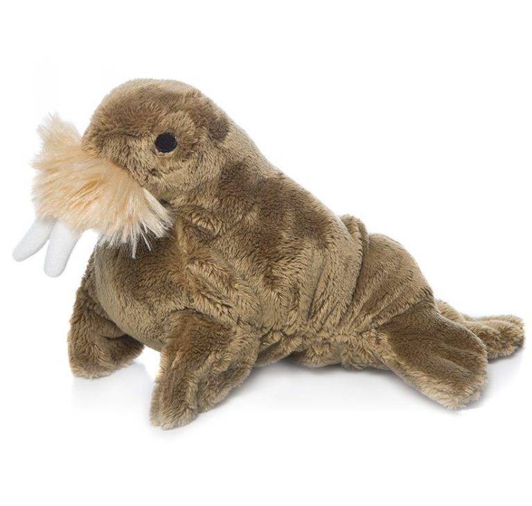 Λούτρινο Θαλάσσιος Ελέφαντας