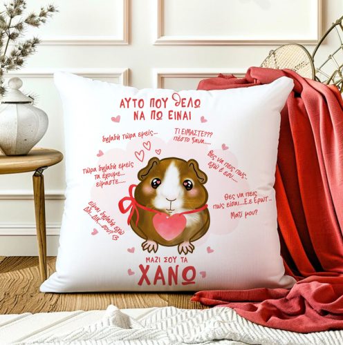 Μαξιλάρι Αγίου Βαλεντίνου - Τα Χάνω