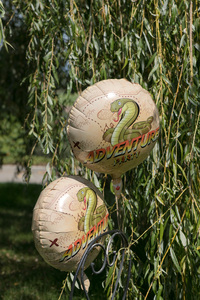 Μπαλόνι Adventure Party 18