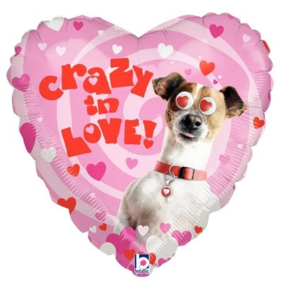 21 Μπαλόνι σκυλάκι Crazy In Love