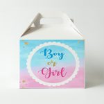 Lunchbox Gender Reveal (3 τεμ)
