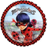 Είδη πάρτυ Ladybug