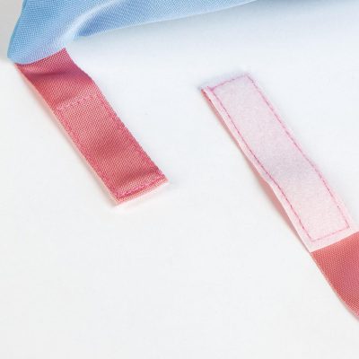 Σακίδιο πλάτης Bluey & Bingo